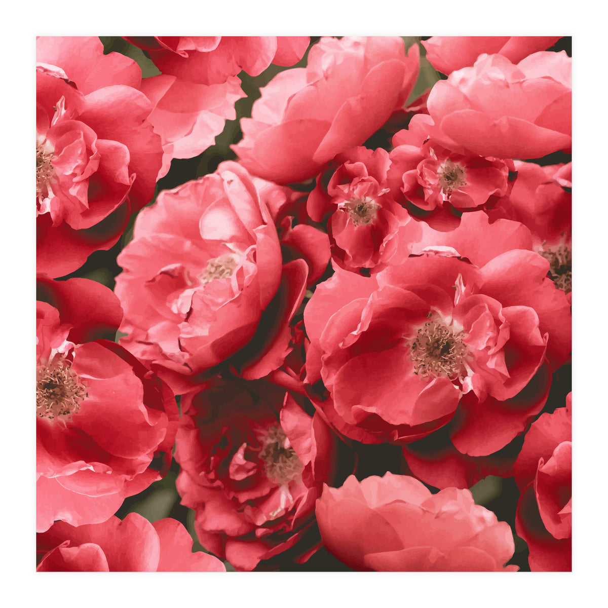 Christina (Print Only)