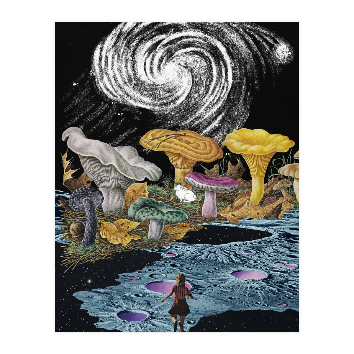 Follow The White Rabbit (Print Only)