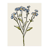 Bunch V (Print Only) thumbnail