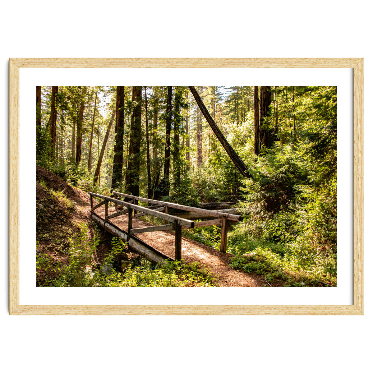 Ewoldsen Trail Bridge