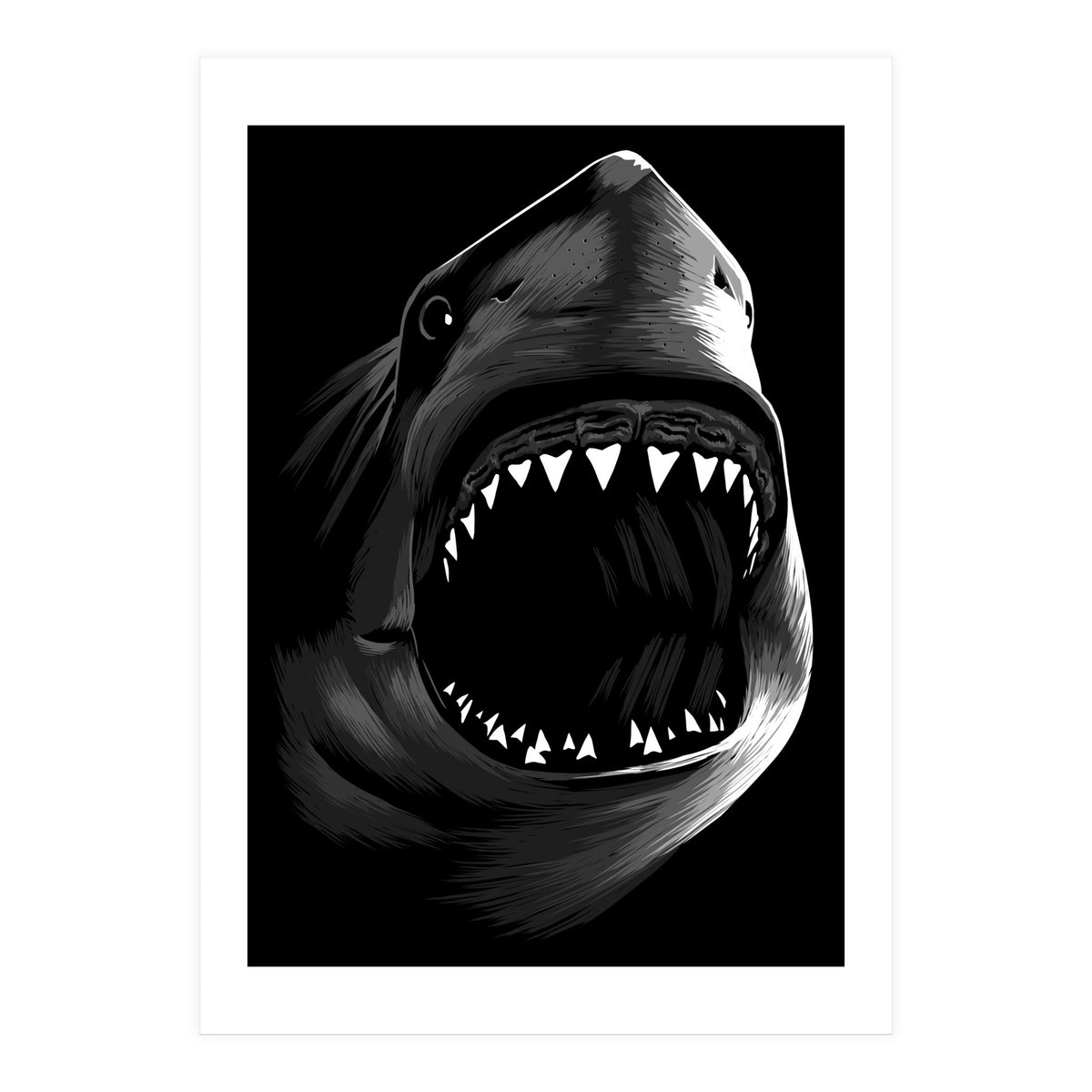 Great Shark White (Print Only)
