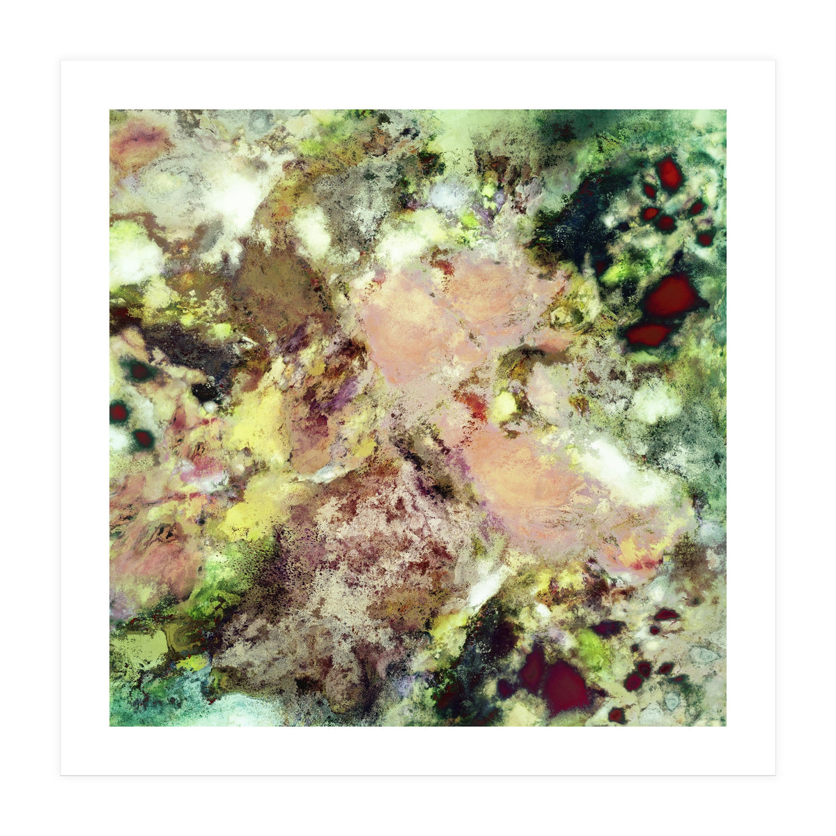 Sugar Coated (Print Only)