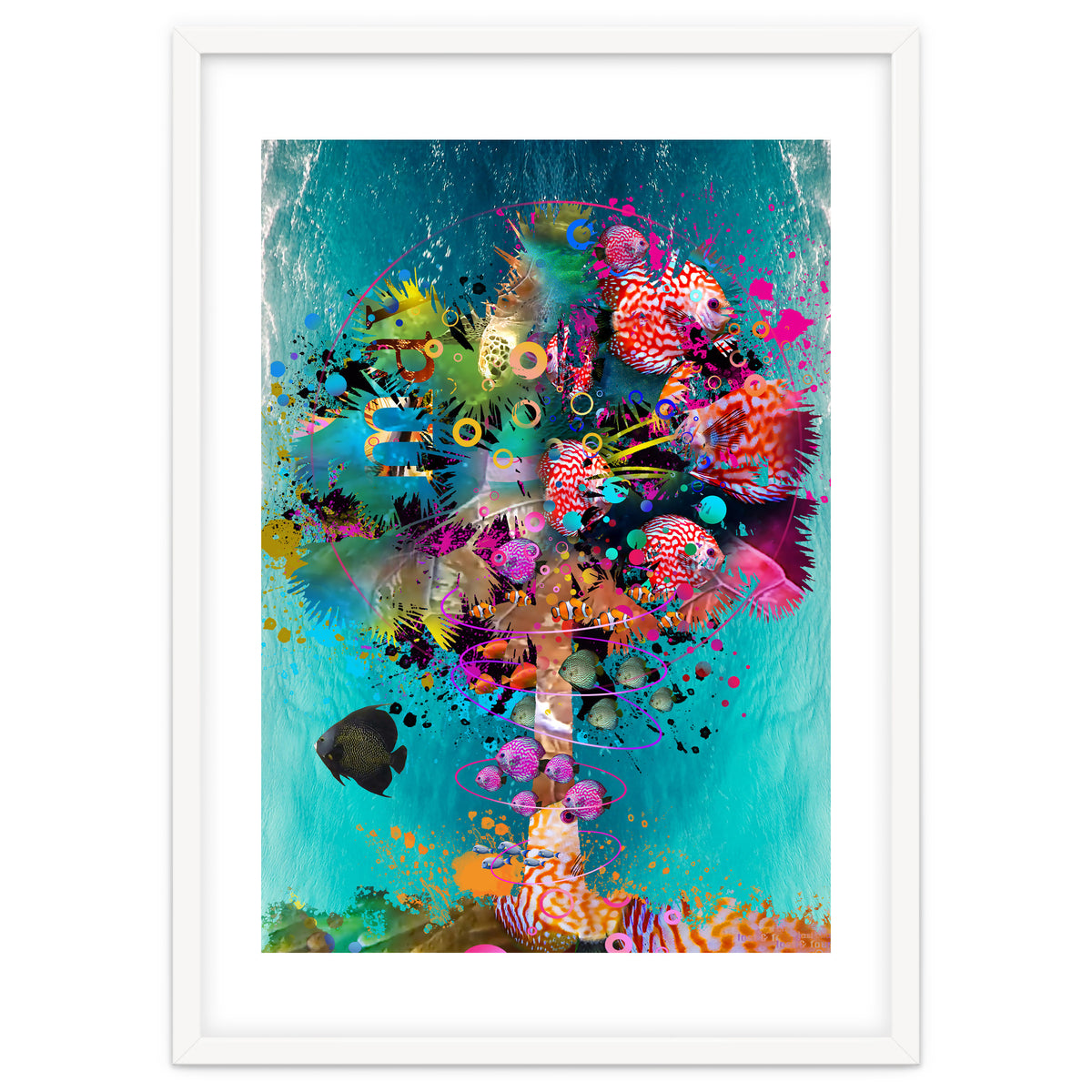 Surf Palm 02 Halfed Large2