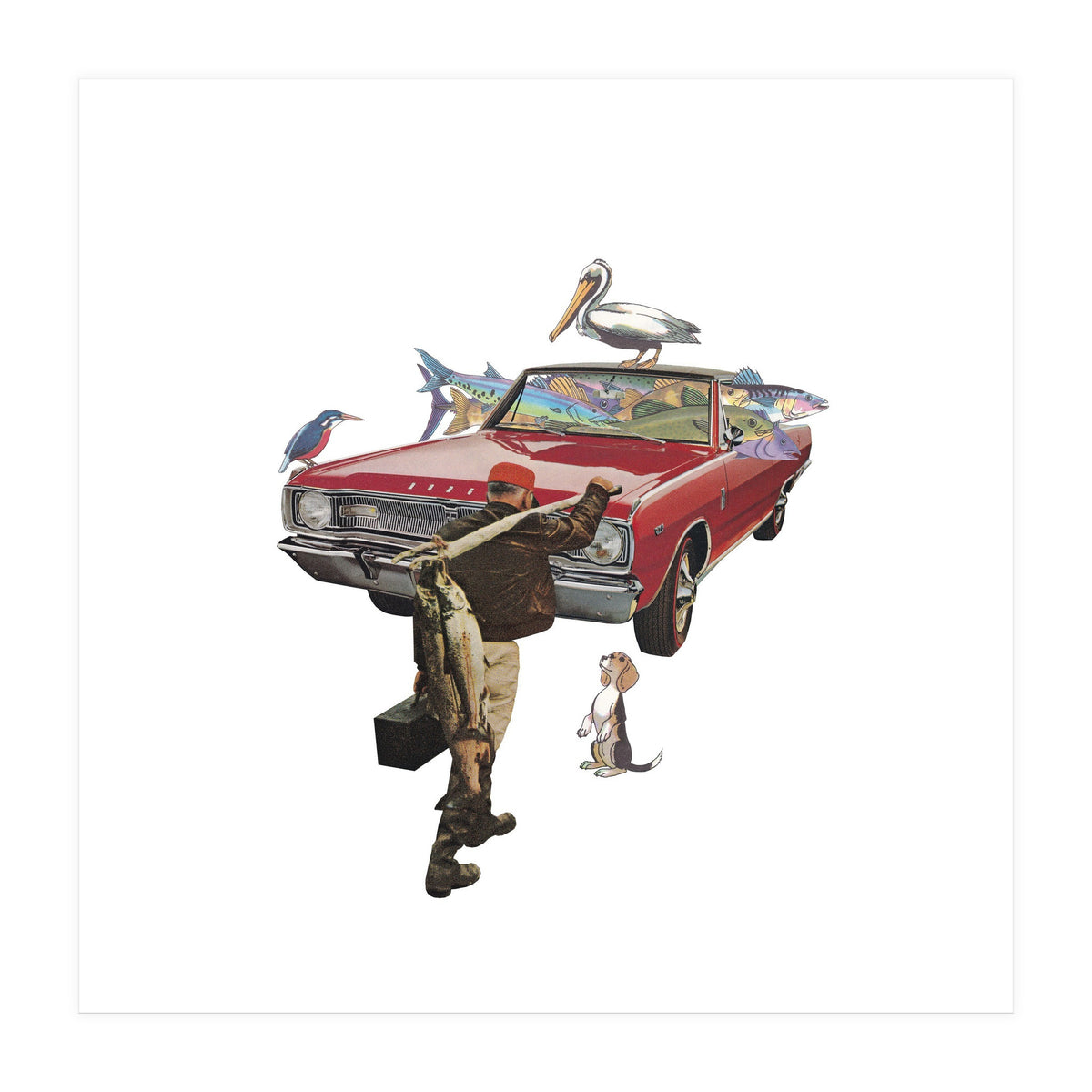 Fisherman (Print Only)