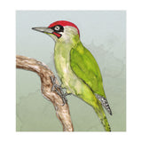Green woodpecker (Print Only) thumbnail