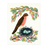 Robin (Print Only) thumbnail