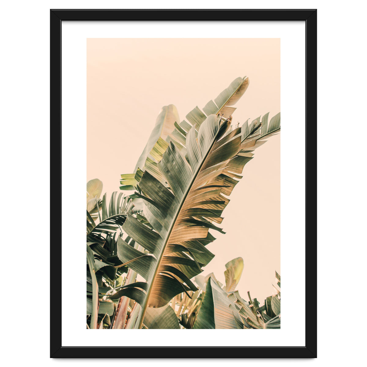 Growing Green Alicia Bock