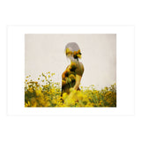 Yellow Meadow (Print Only) thumbnail