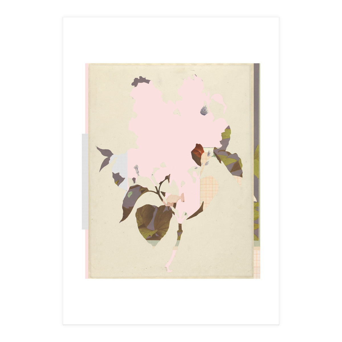 The First Plant · G (Print Only)