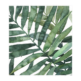 tropical 5 (Print Only) thumbnail