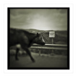 Struan Road (Print Only) thumbnail
