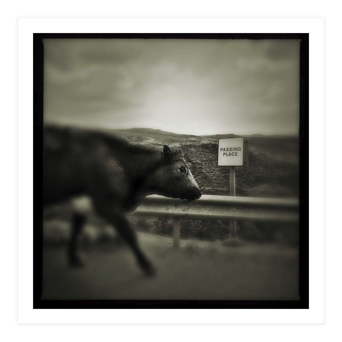 Struan Road (Print Only)