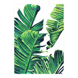 Banana Tree Leaves (Print Only) thumbnail