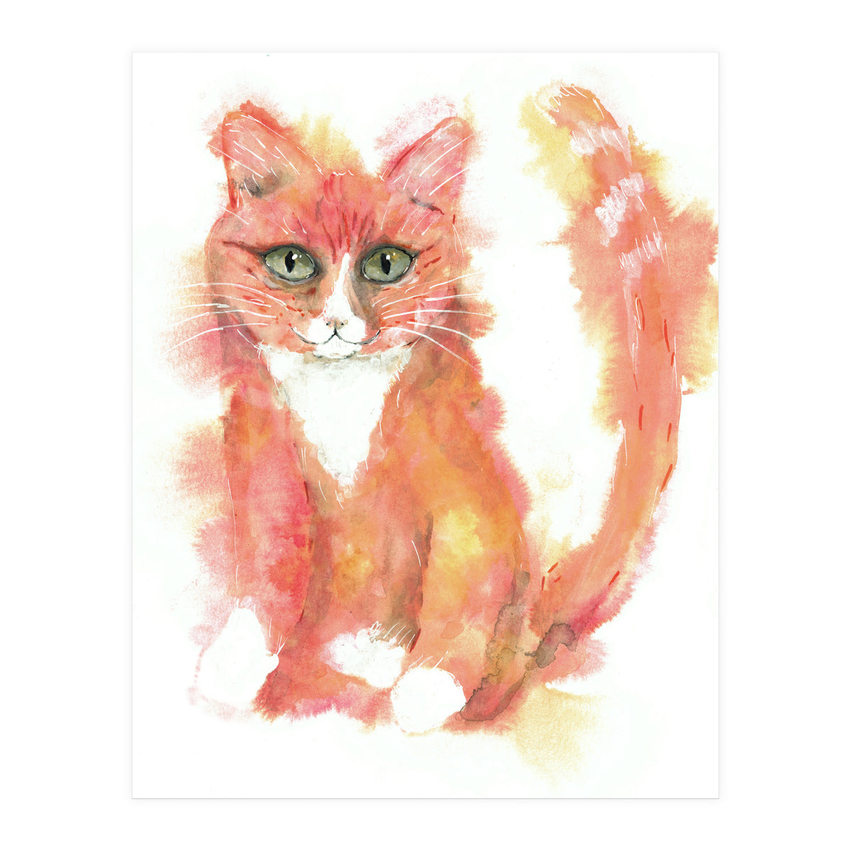 Orange tabby  cat (Print Only)