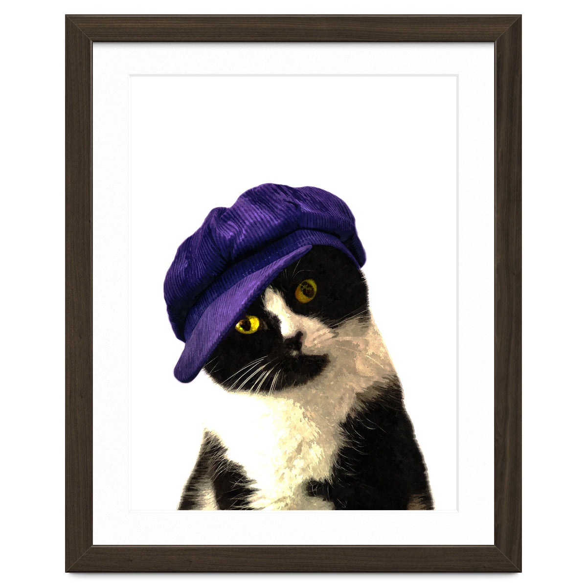 Cat Blue Hat