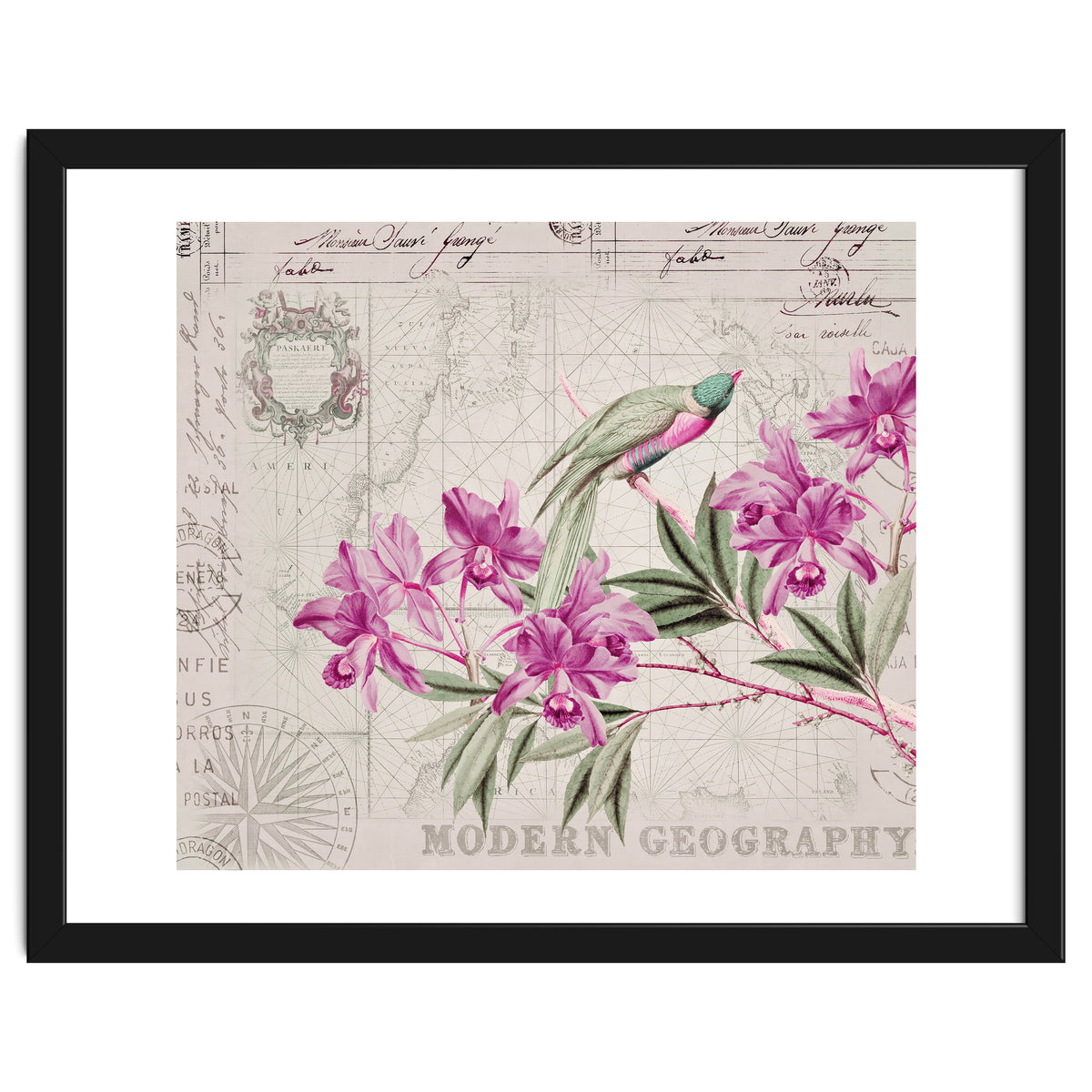 The Birds Voyage Of Discovery