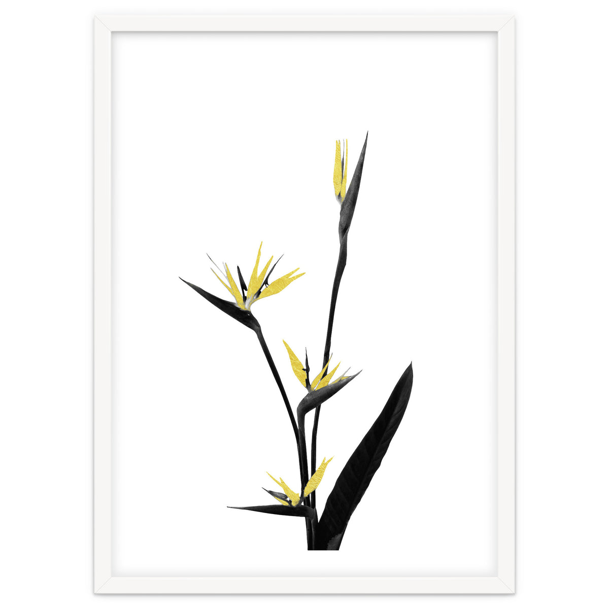 Flower Minimal Black And Gold 05