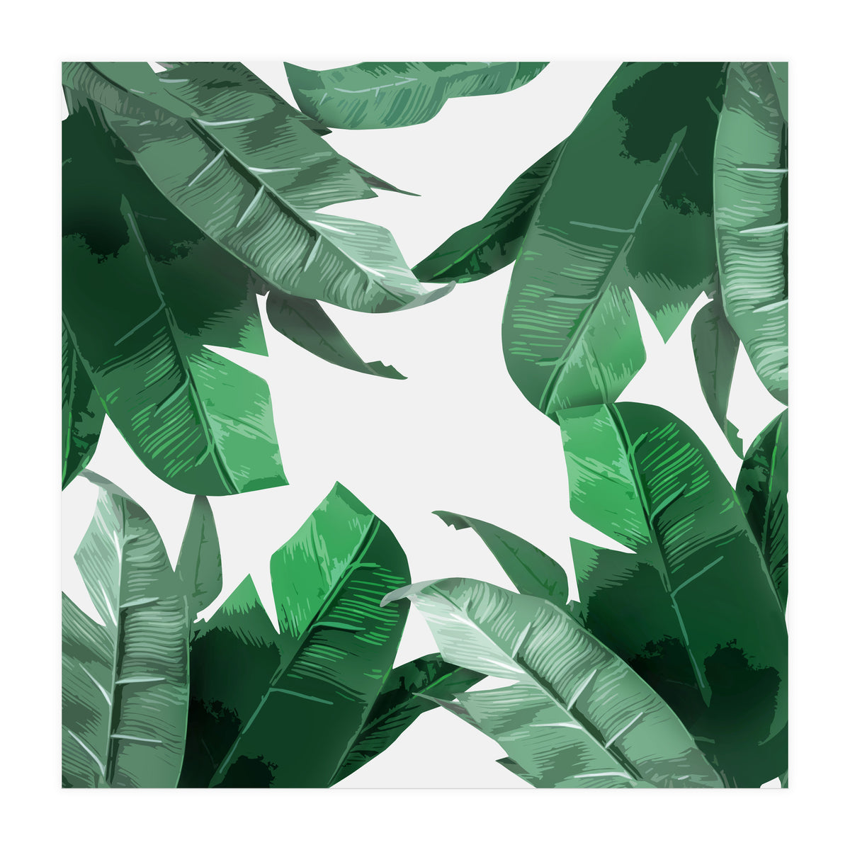 Tropical Palm Print (Print Only)