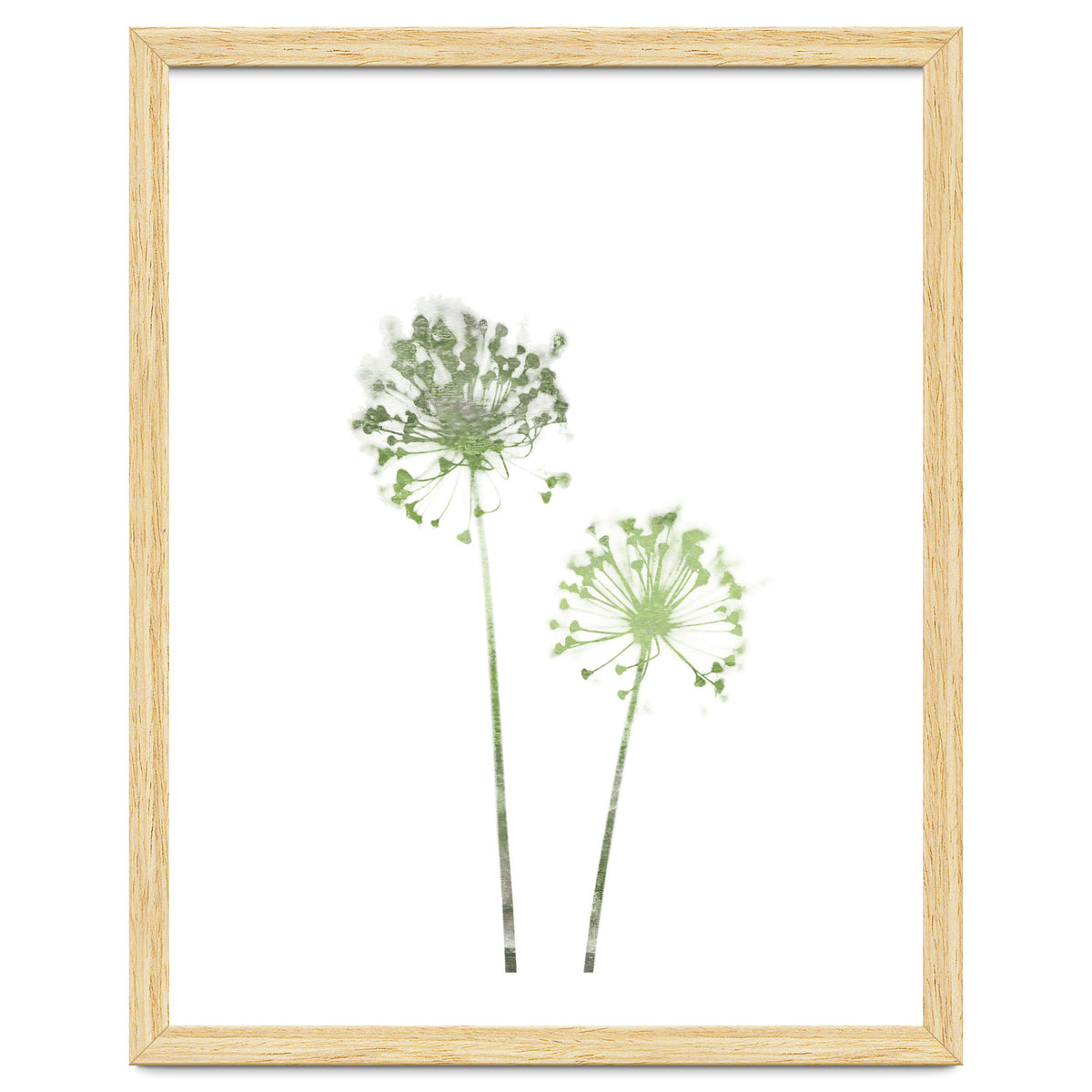 Olive Green Dandelion