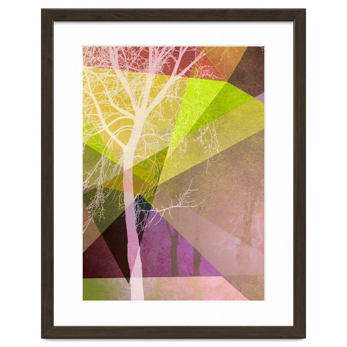 P22 Trees And Triangles