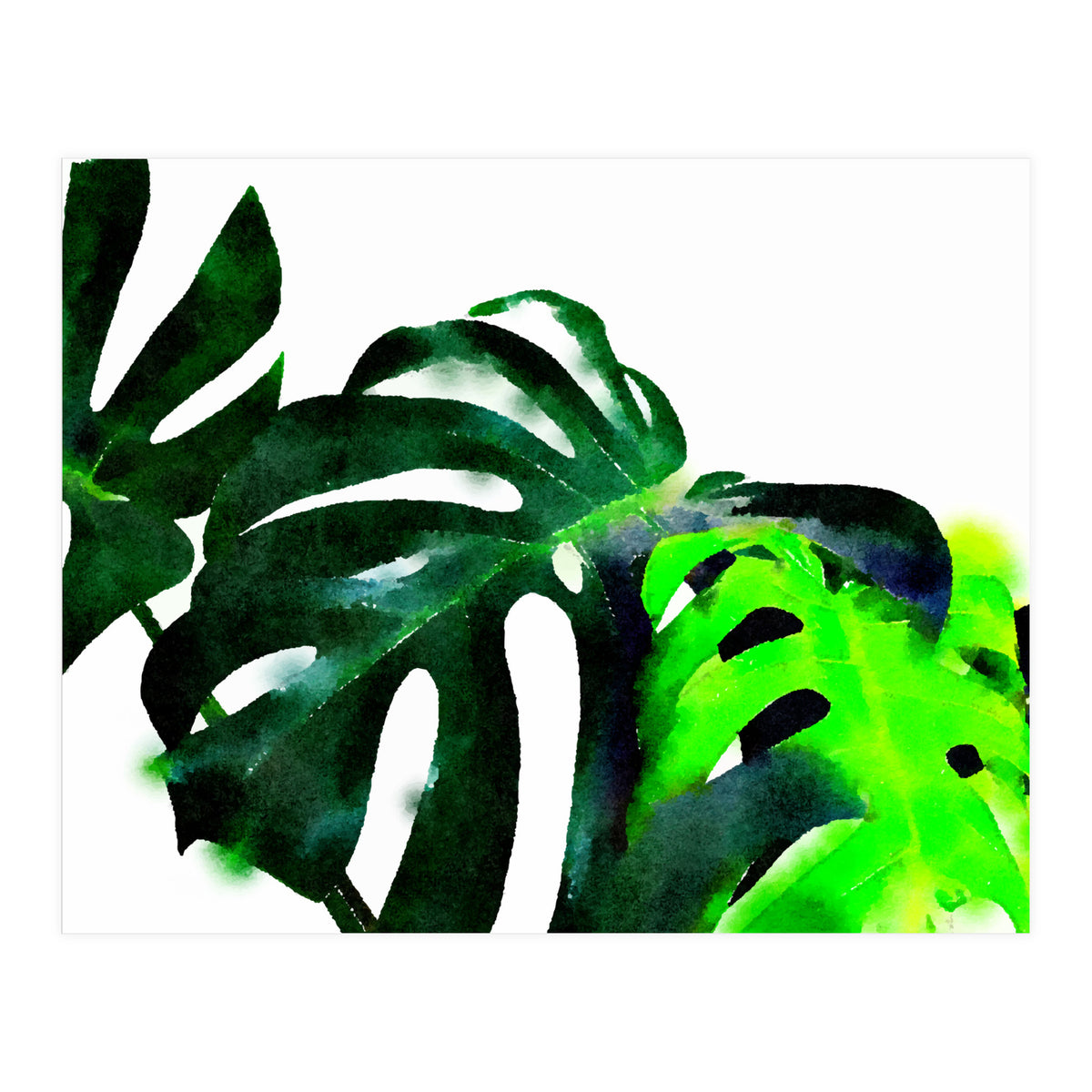 Fresh Leaves (Print Only)