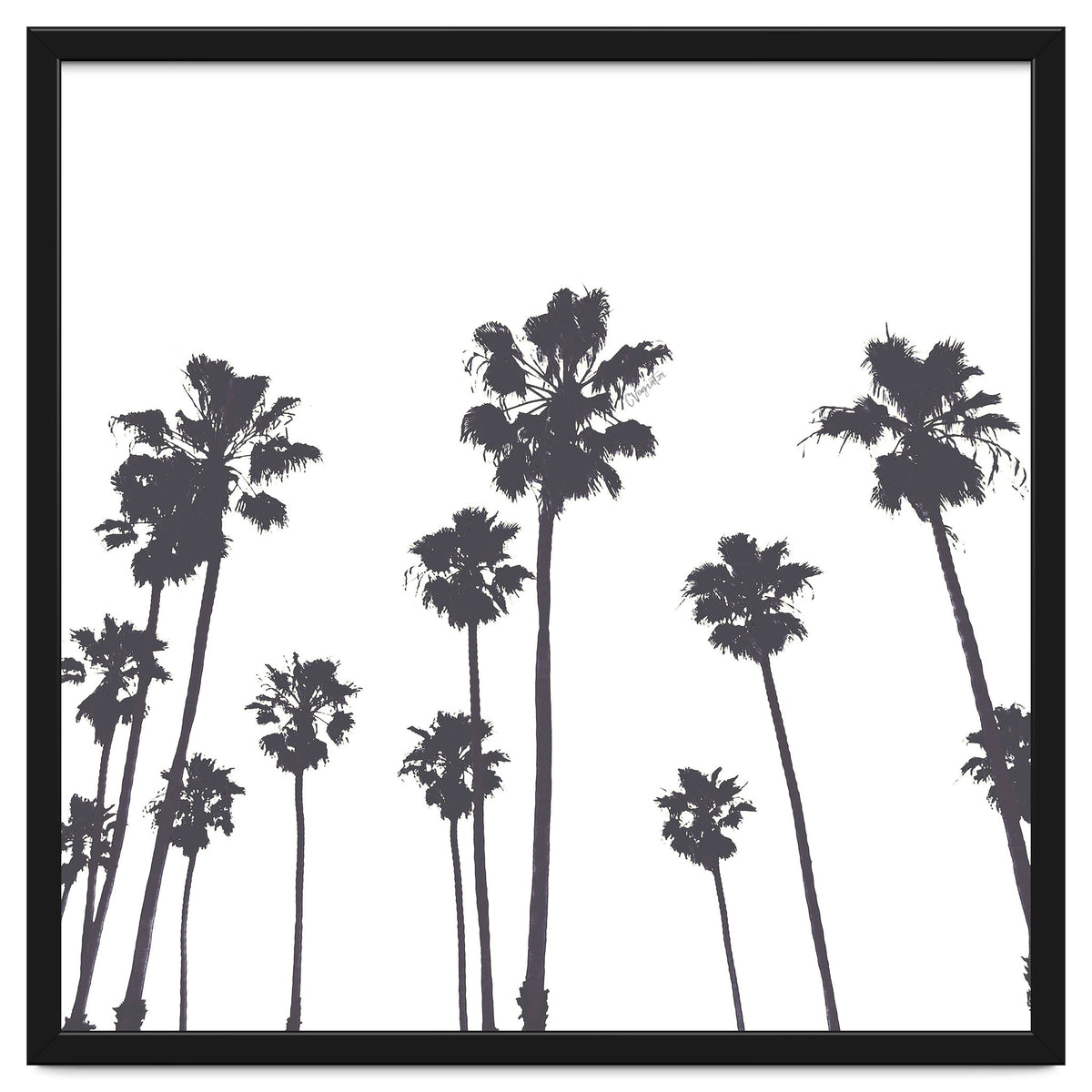 Palms & Sunset-Minimal B&W