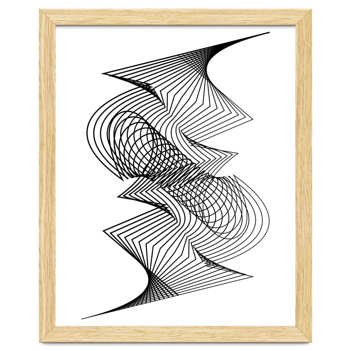 Organized Chaos_White