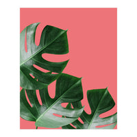 Tropical collage VI (Print Only)