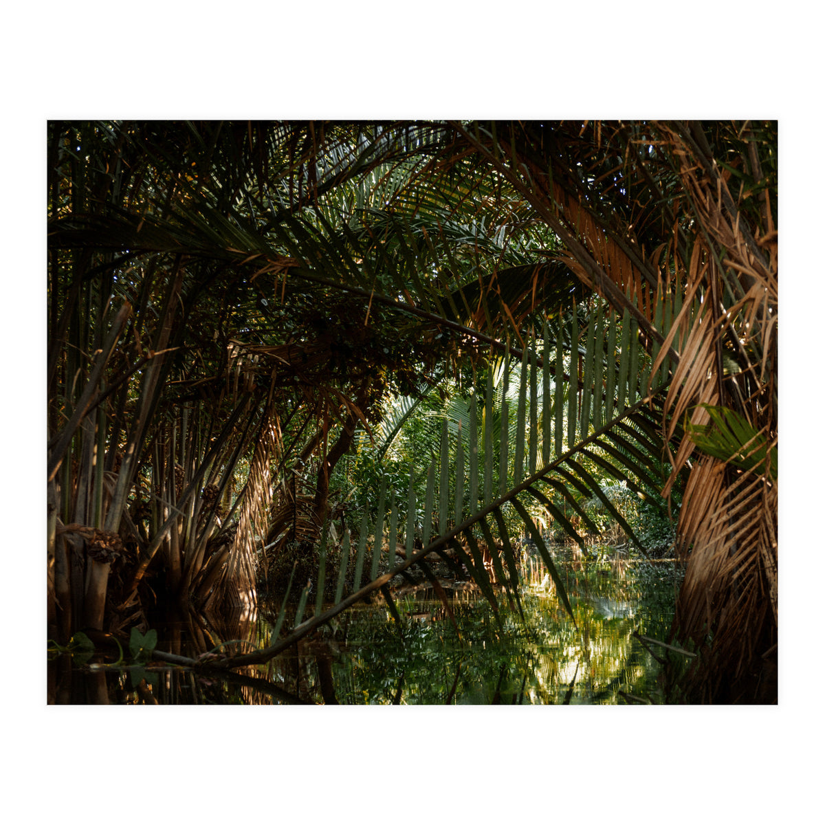 Exploring Vietnam (Print Only)