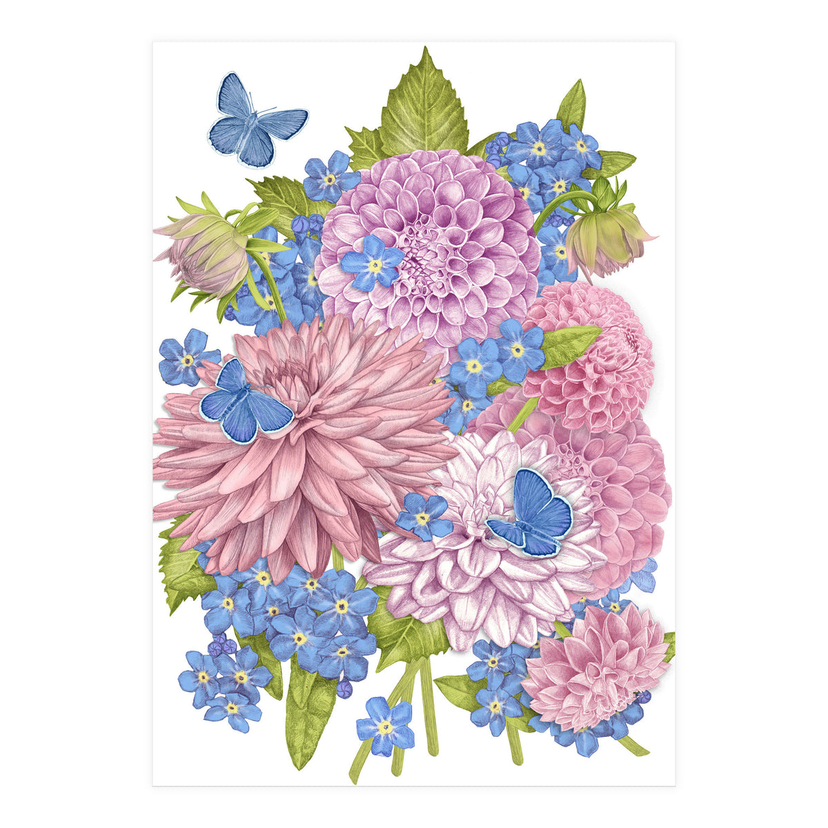 Pink Flowers and Butterflies (Print Only)