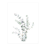 Eucalyptus Branch (Print Only) thumbnail