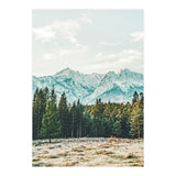 Winter Weather (Print Only) thumbnail