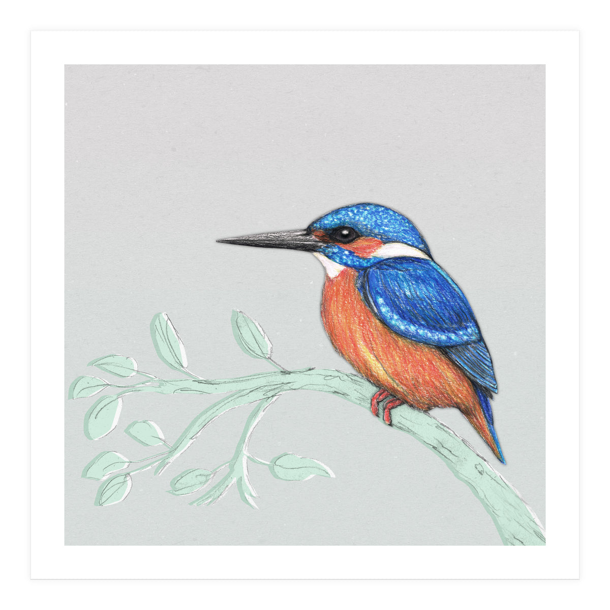 The kingfisher (Print Only)
