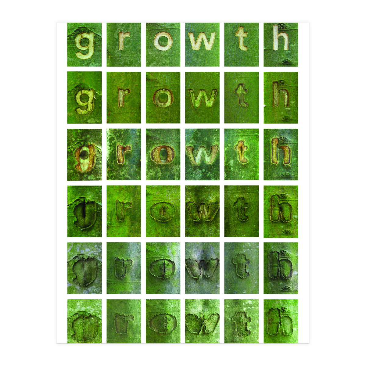 growth (Print Only)