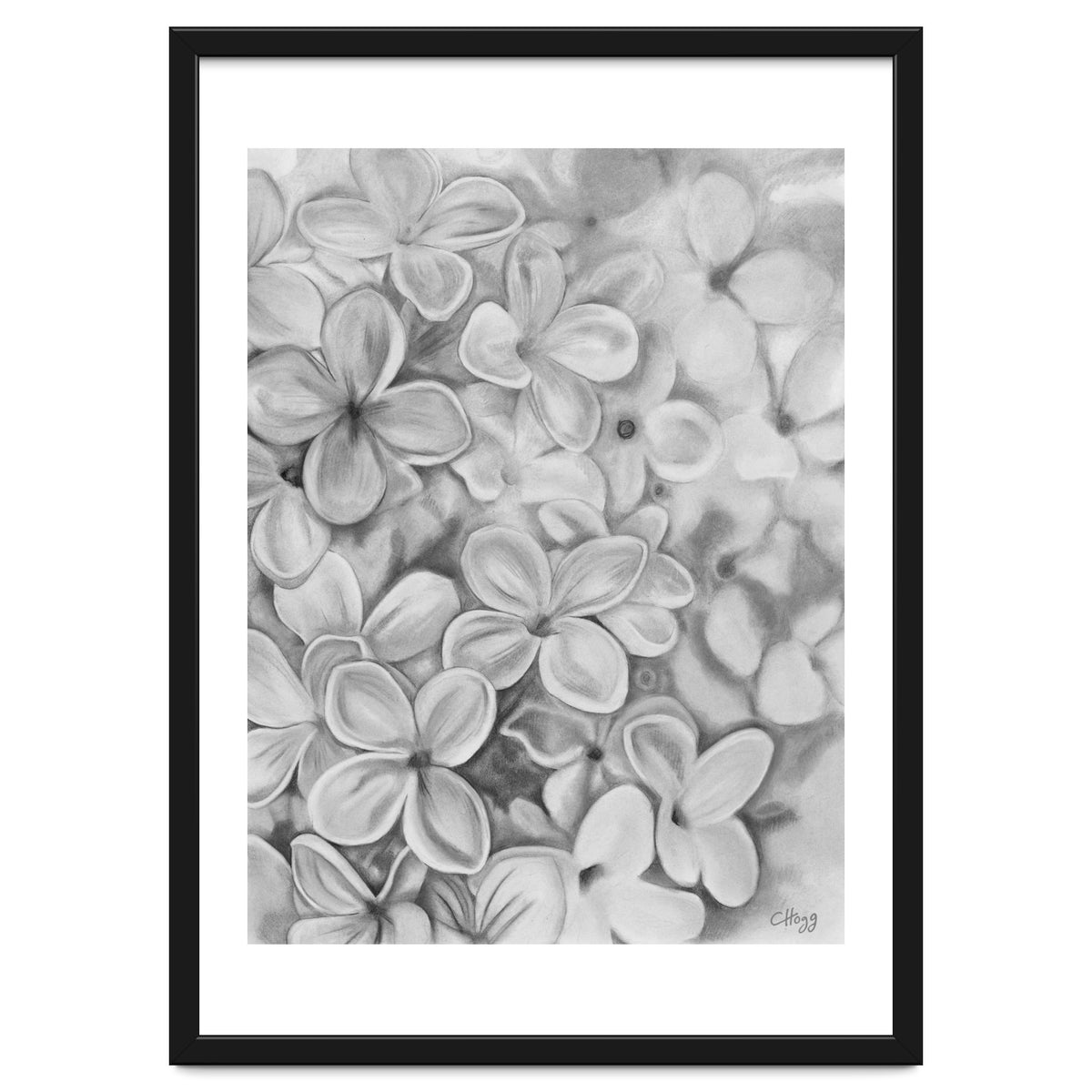 The Essence Of Spring in Monochrome