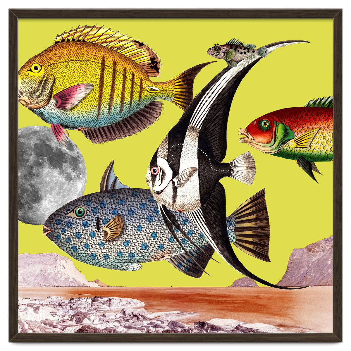 Plenty Of Fish In The Sea Yellow