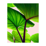 Charming Sequence (Print Only) thumbnail