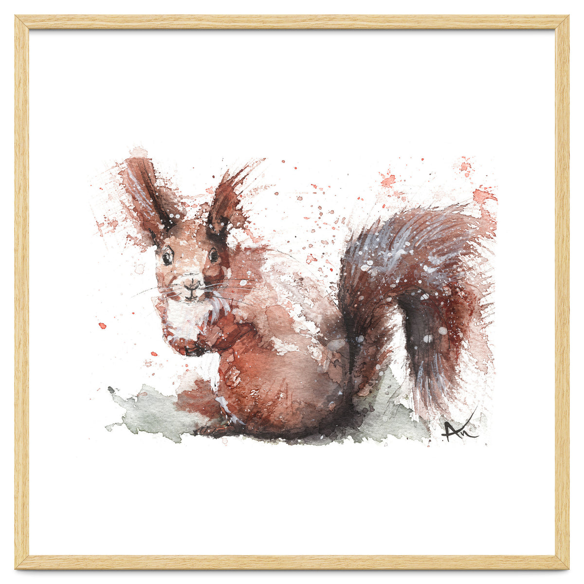Squirrel - Wildlife Collection