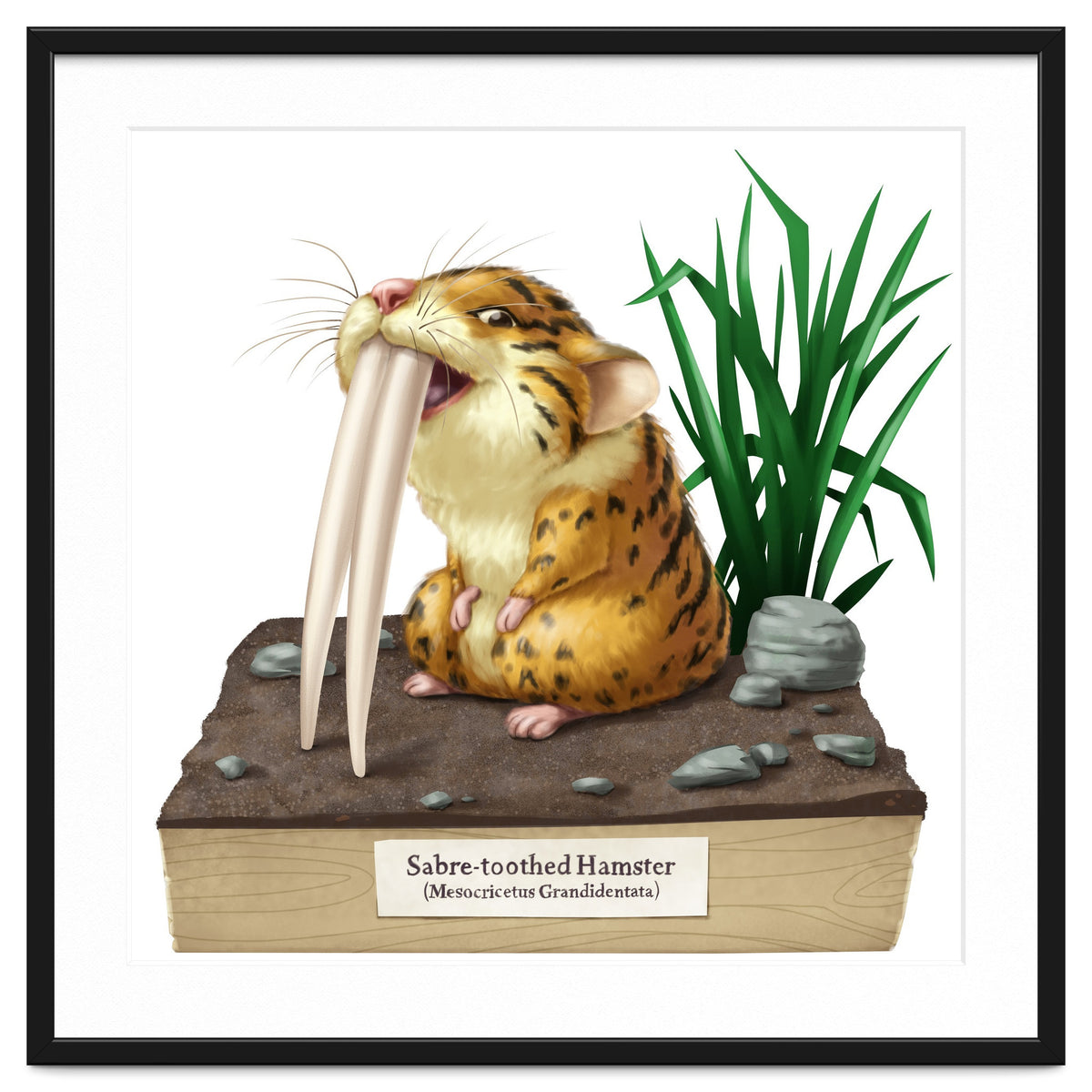 Saber-toothed Hamster