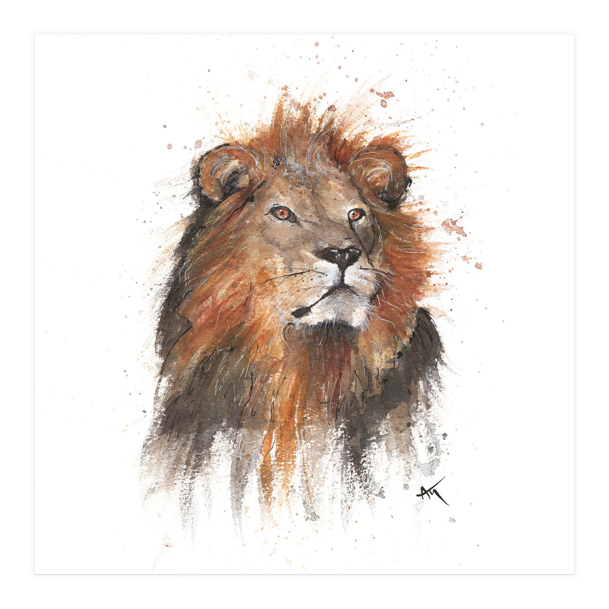 Lion - Wildlife Collection (Print Only)
