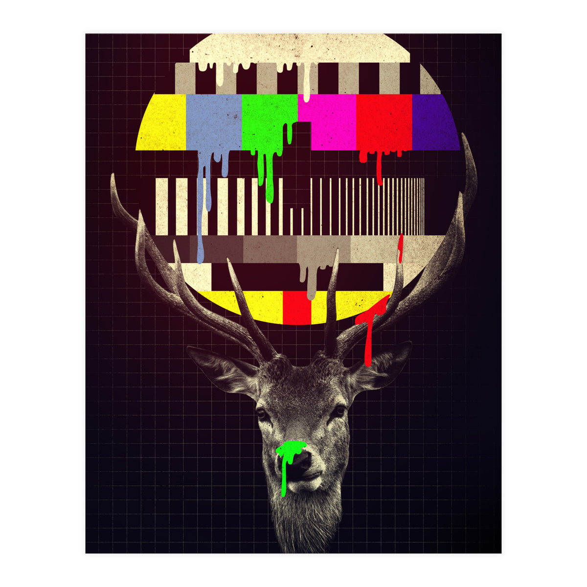 No Signal (Print Only)