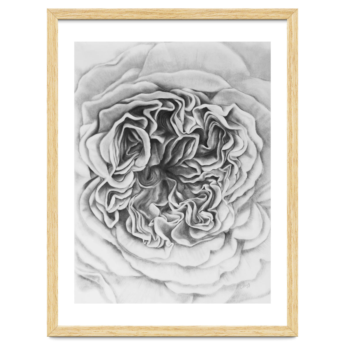 A Rose in Monochrome