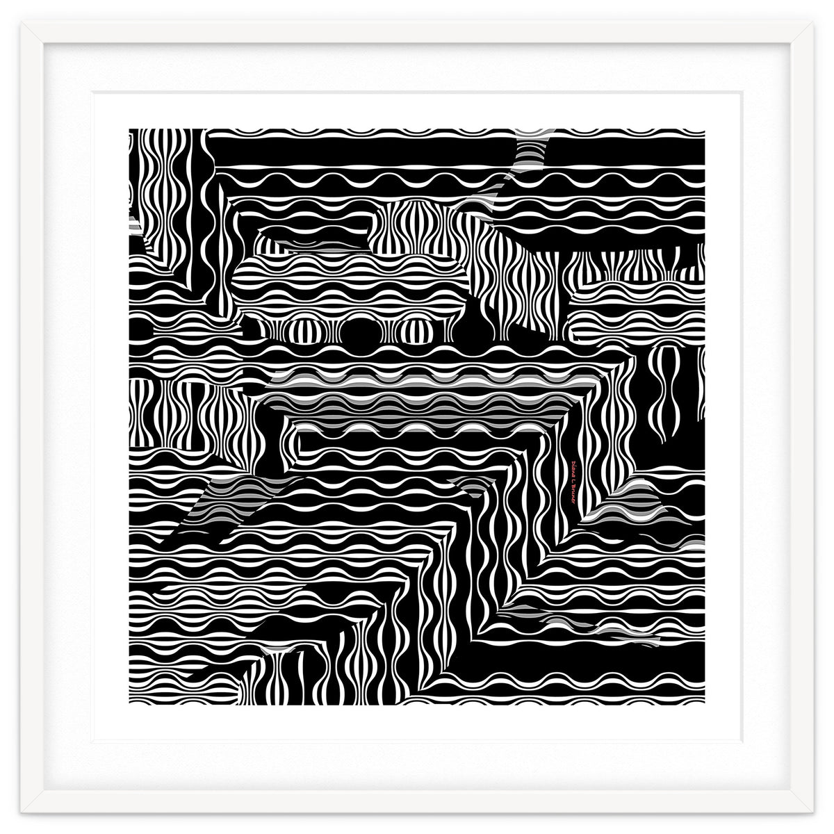 BLACK AND WHITE EXOTIC