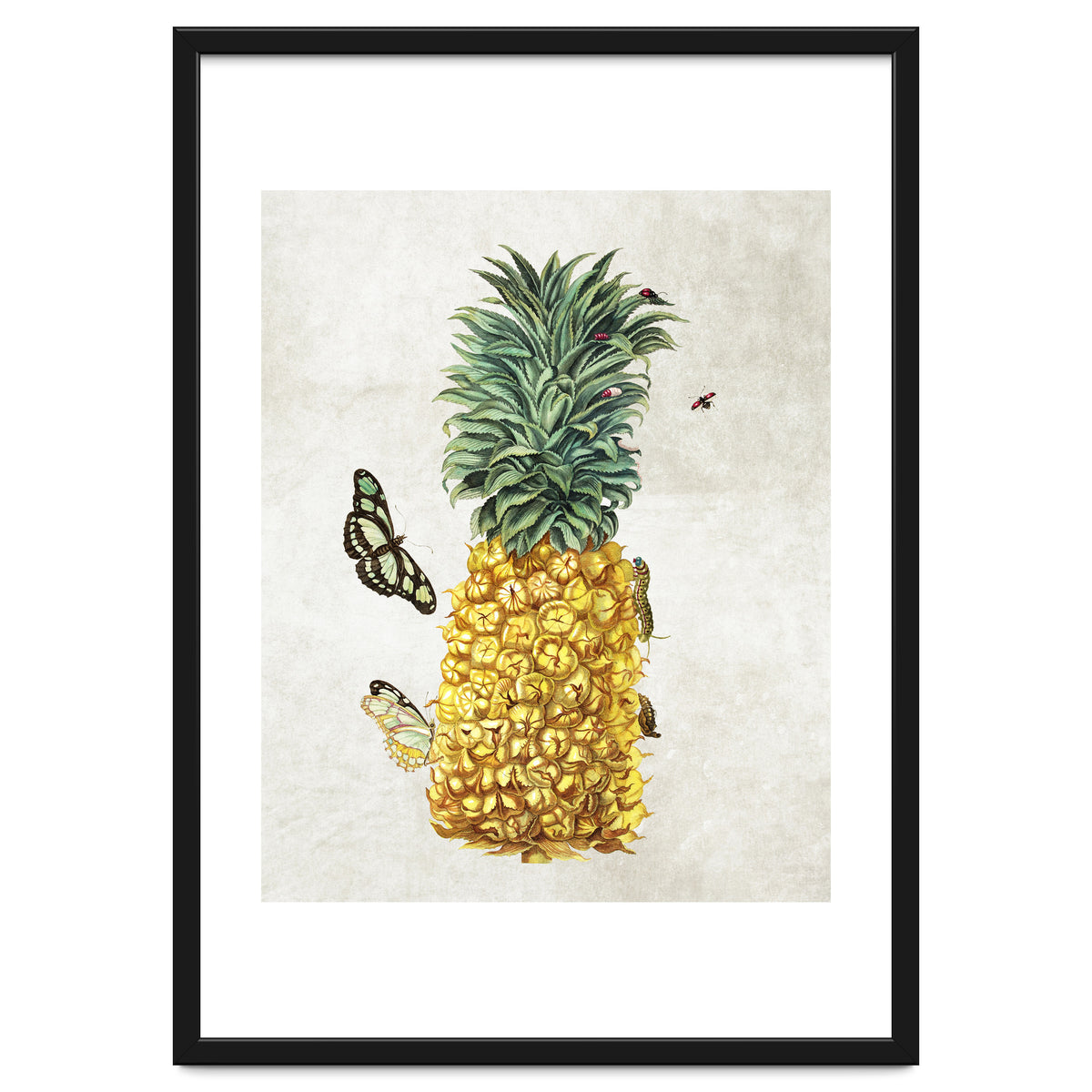 ananas