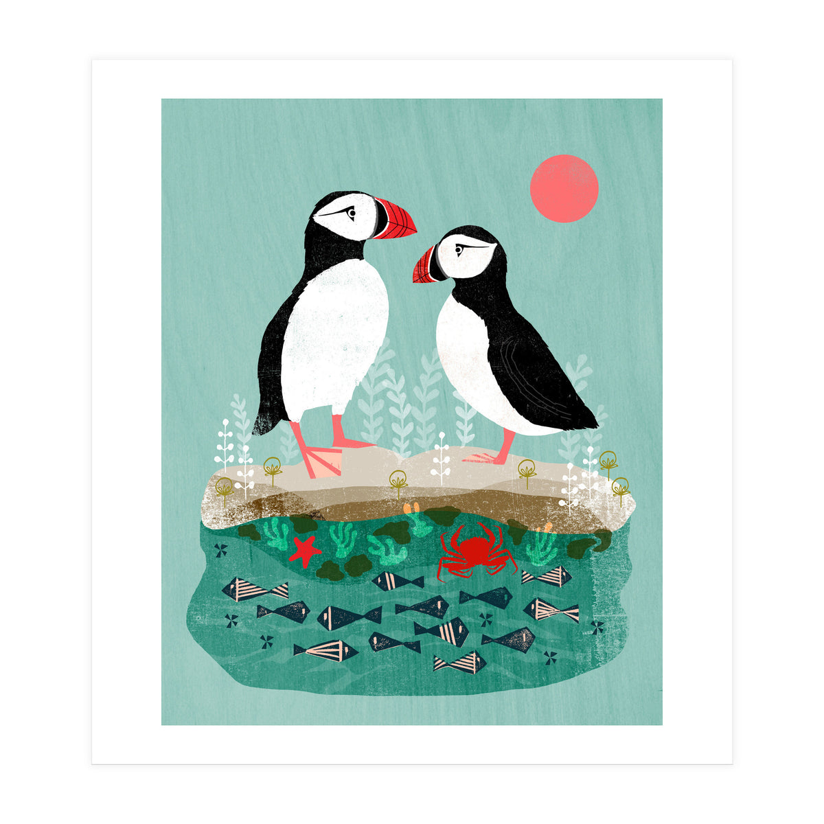 Puffin (Print Only)