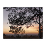 Sunset on Finchampstead Ridges - Berkshire (Print Only) thumbnail