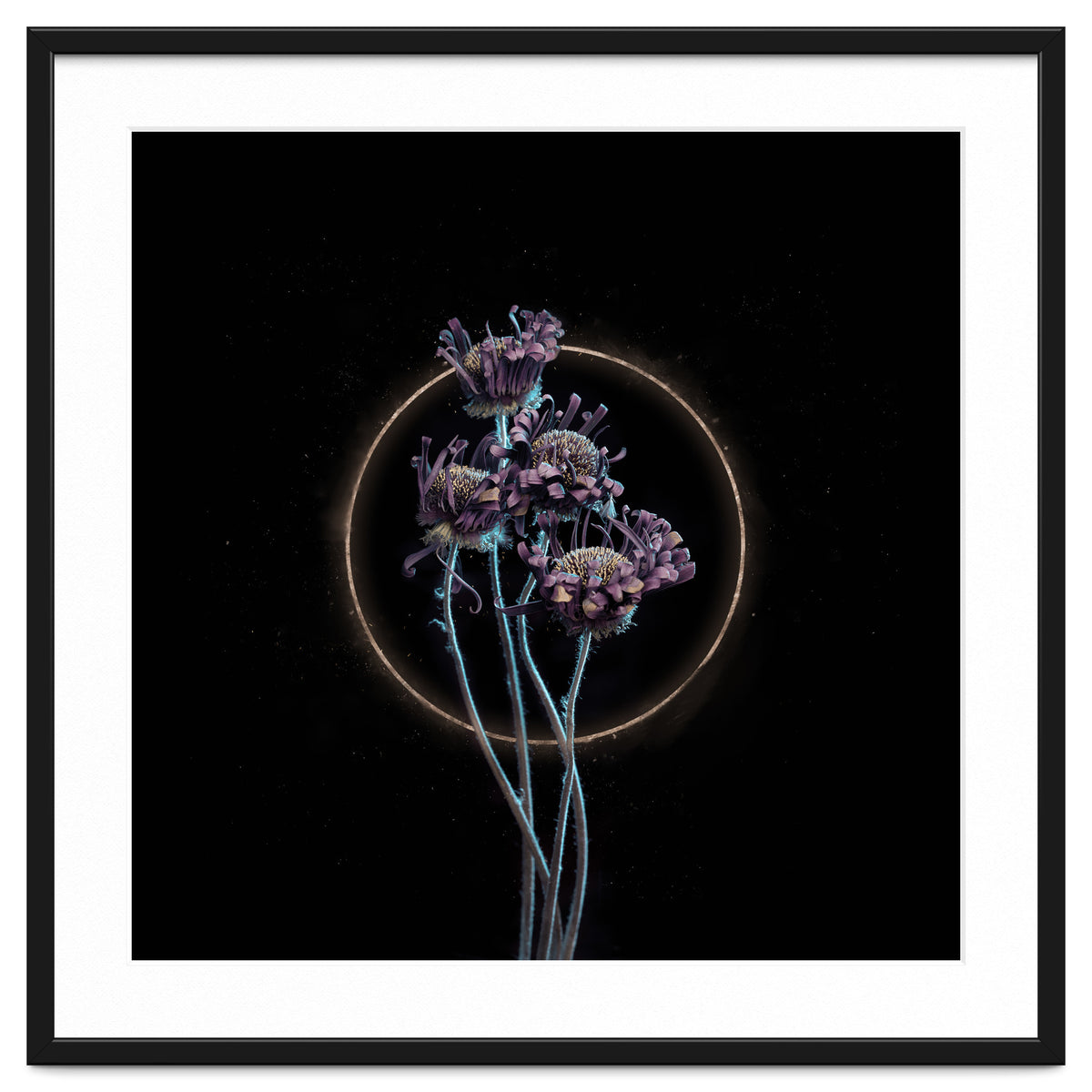 Candy-Coloured Mystery