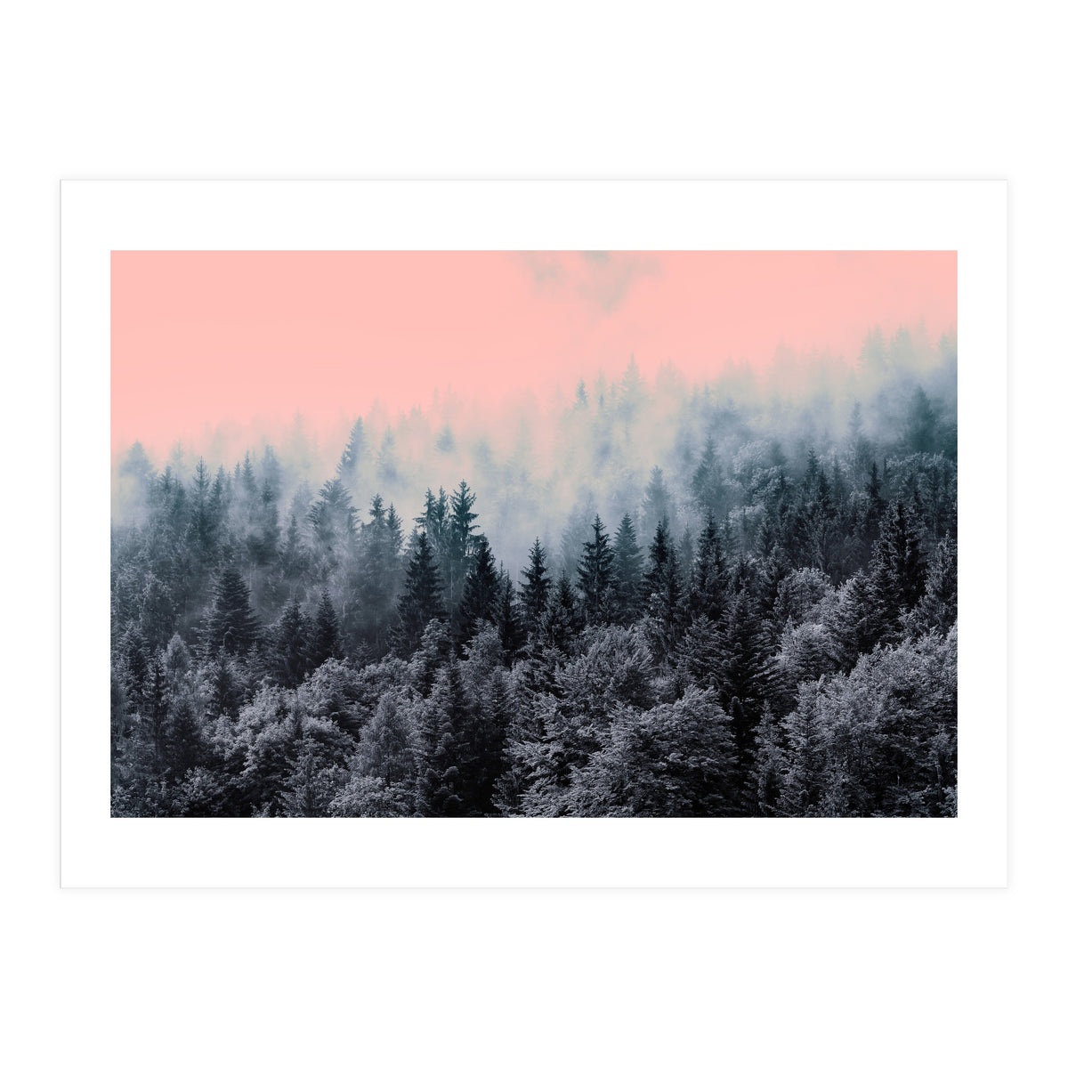 Forest in gray and pink  (Print Only)