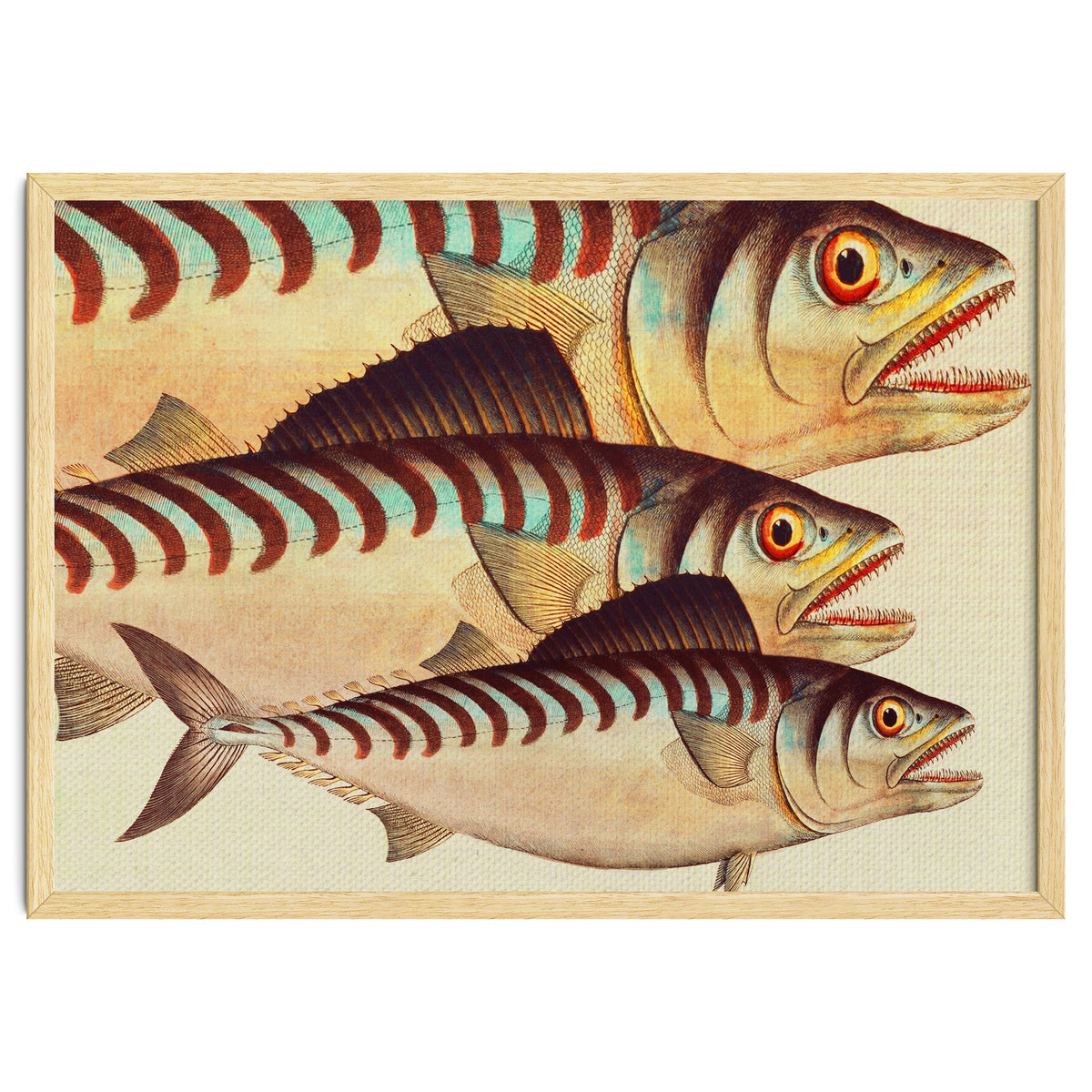 Fish Classic Designs 8