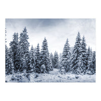 Winterland (Print Only)